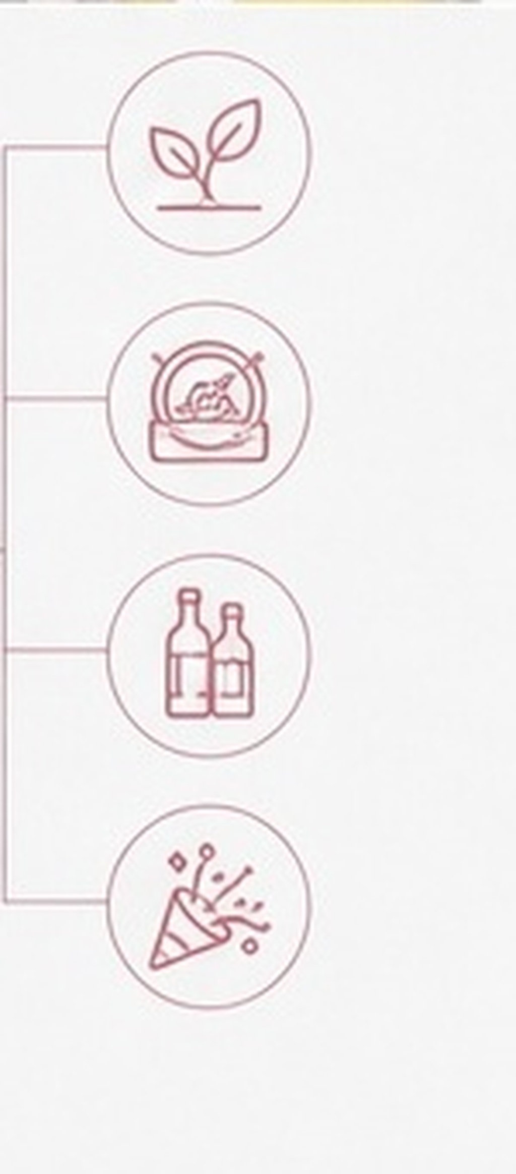 Wine Beer Hat - 5 sztuk wysokiej jakości silikonowych korków
